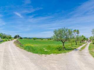 Villa Montuiri Ambiente 43