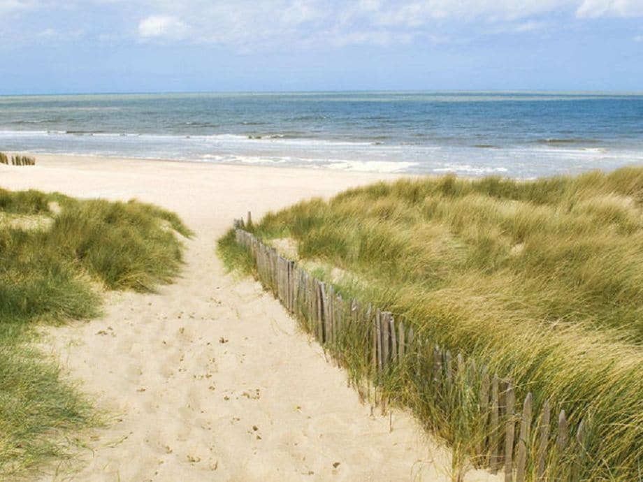 strand texel holland