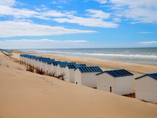 Maison de vacances De Koog Environnement 19