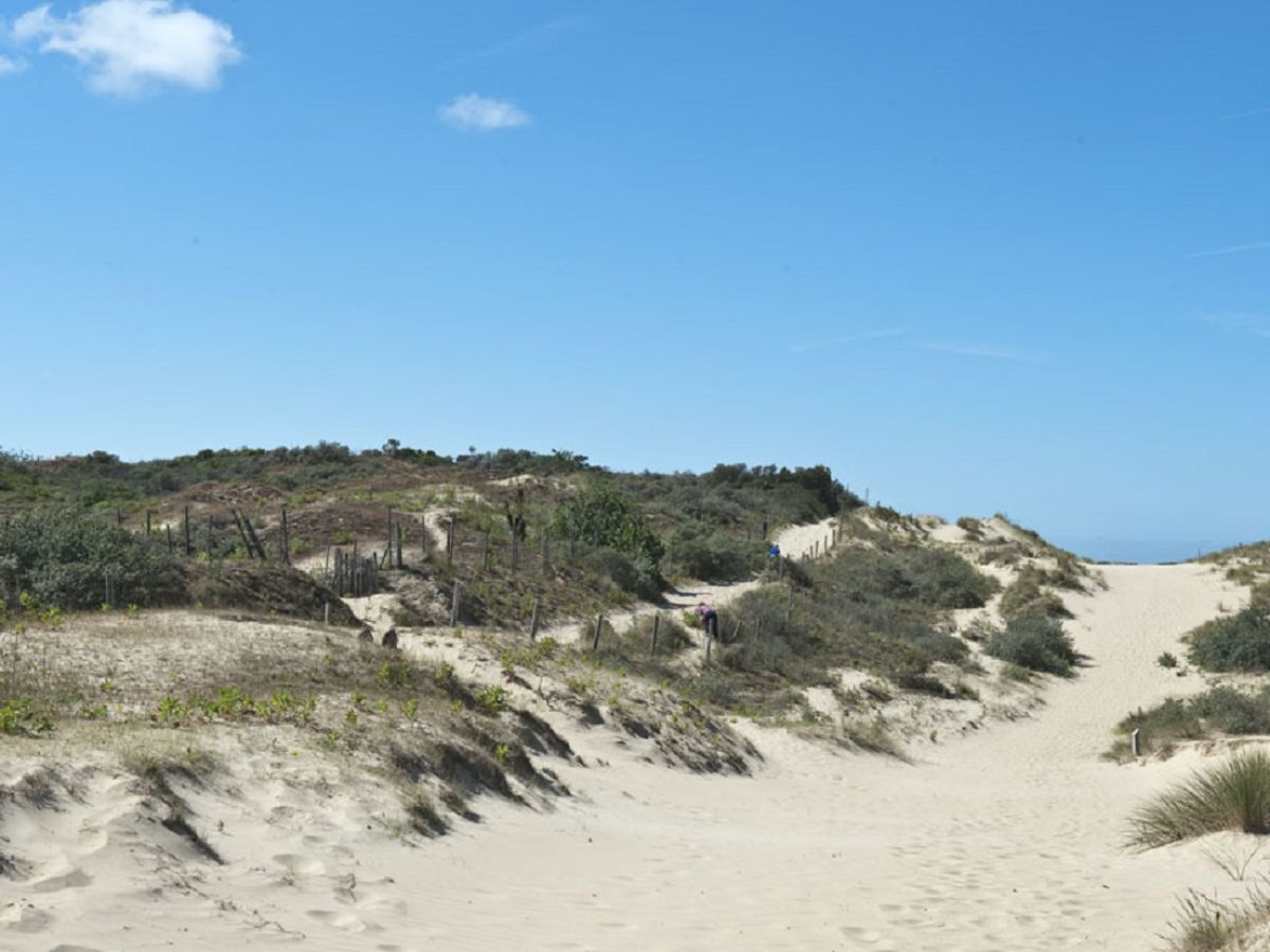 Ferienwohnung am Meer mieten Frankreich