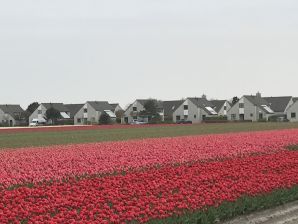 Ferienwohnung Strandmuschel