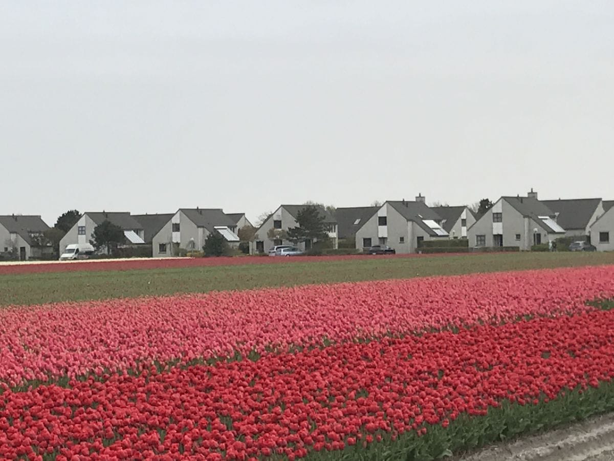 Freistehendes Ferienhaus mi allem Komfort...