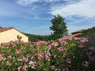 Ferienhaus Sampzon Außenaufnahme 5