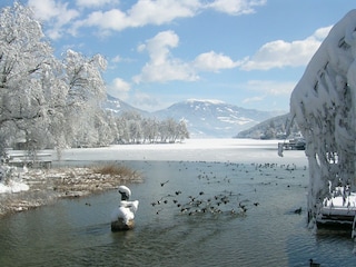 Auch im Winter ein Traum