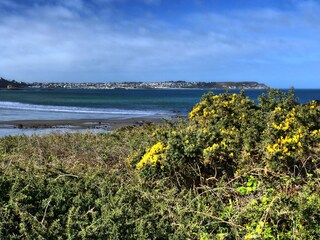 Casa per le vacanze Camaret-sur-Mer Ambiente 20