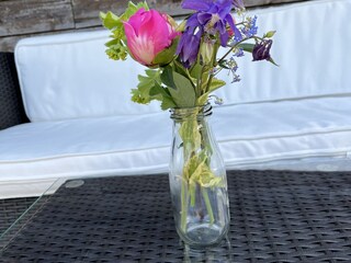 Capanna alpina Taxenbach Registrazione all'aperto 10