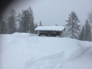 Capanna alpina Taxenbach Ambiente 25