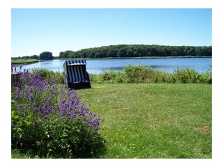 Ferienhaus Gelting Außenaufnahme 6