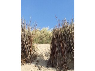 Bredene Dünen