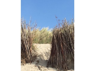 Ferienhaus Bredene Umgebung 21