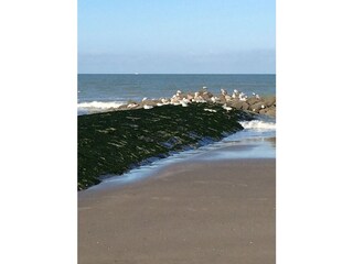 Einheimische am Strand