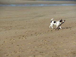 Casa per le vacanze Bredene Ambiente 15