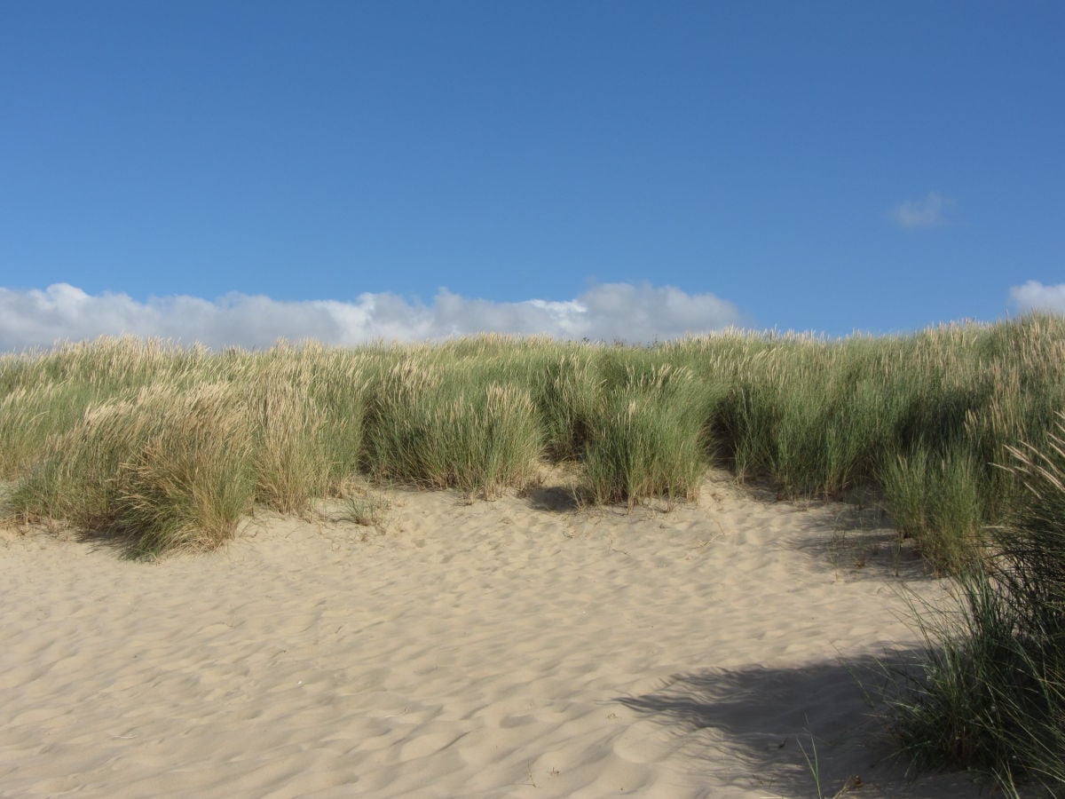 Bredene / Sand - Strand und Dünen / Erholung pur