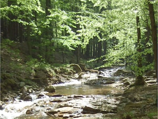 Chalet Ilsenburg Ambiente 19