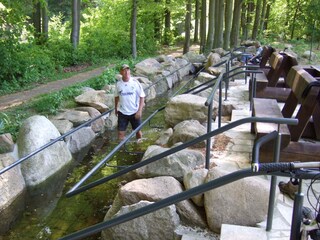 Chalet Ilsenburg Entorno 17