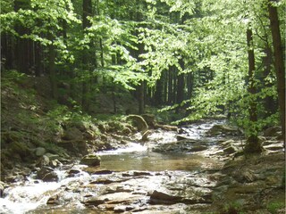 Chalet Ilsenburg Ambiente 20