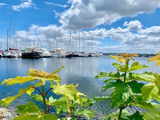 Ostseebad Boltenhagen, Marina Weisse Wiek