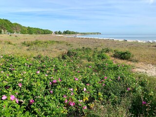 Ostseebad Boltenhagen, Blick über die Düne zum Strand