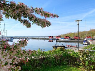 Ostseebad Boltenhagen, Fischereihafen Weisse Wiek