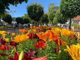 Ostseebad Boltenhagen, an der Promenade zur Seebrücke