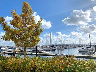 Ostseebad Boltenhagen, Marina Weisse Wiek