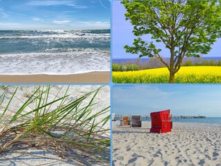 Ostseebad Boltenhagen, zu jeder Jahreszeit toll