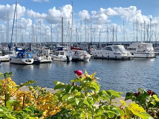 Ostseebad Boltenhagen, Marina Weisse Wiek