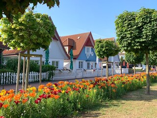 Ostseebad Boltenhagen, kleine Häuschen an der Promenade