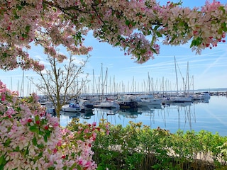 Ostseebad Boltenhagen, Marina Weisse Wiek