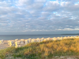 Ostseebad Boltenhagen, Blick über die Düne zum Strand