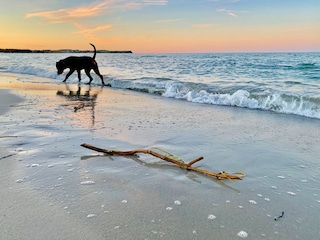 Ostseebad Boltenhagen, Hundestrand am Strandzugang 1