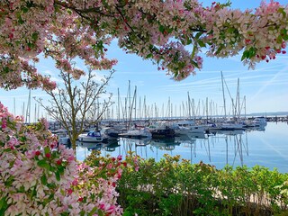 Ostseebad Boltenhagen, Marina Weisse Wiek