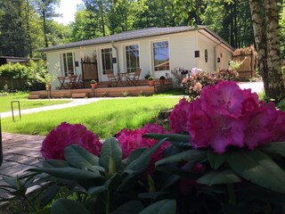 Apartamento de vacaciones Dresden-Loschwitz Grabación al aire libre 6