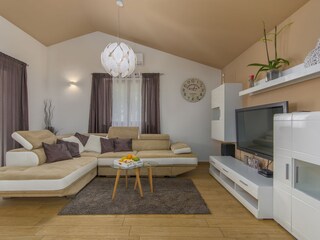 Villa Tinjan Caratteristiche 13