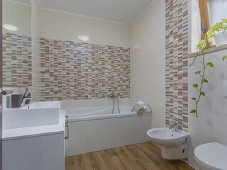 Villa Tinjan Caratteristiche 15