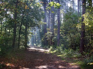 Villa De Koog Ambiente 20