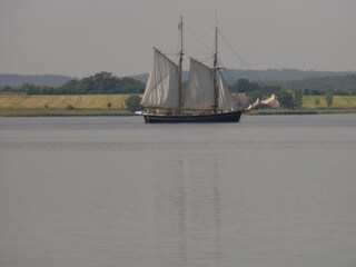 genießen Sie den Blick auf viele historische Segler