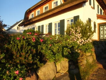 Luxus-Ferienhaus-am-Meer