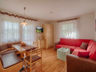 Appartamento per vacanze Steinhaus im Ahrntal Caratteristiche 24