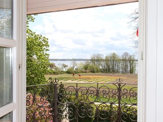 Holiday apartment Ascheberg in Holstein Outdoor Recording 7