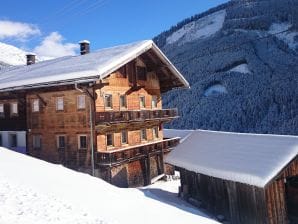 Ferienhaus Steinwandhütte - Kaltenbach - image1