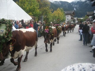 Appartamento per vacanze Neukirchen am Großvenediger Ambiente 21