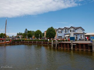 Zingster Hafen