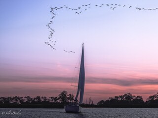 Segeltörn auf dem Barther Bodden