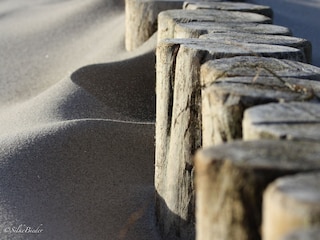 Strandbuhnen