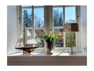 Blick in den Garten