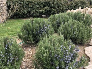 Casa per le vacanze Gordes Registrazione all'aperto 7