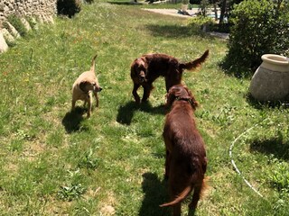 Casa per le vacanze Gordes Registrazione all'aperto 8