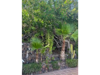 Bungalow Maspalomas Buitenaudio-opname 4