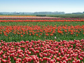 Villa Den Burg Ambiente 15